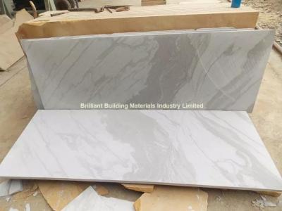 China Landscape Veins White Sandstone Slabs(White Shade) for sale