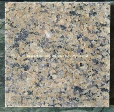 China India Gold Diamond Granite Tiles, Natural Yellow Brown Granite Tiles for sale