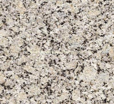 China China Autumn Yellow Granite Bushhammered, Natural Yellow Granite for sale