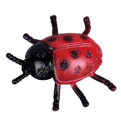 China Play Simulated Ladybug Plastic Seven Star Early Education Aids Beetle Model Children's Toy Ladybug Model for sale