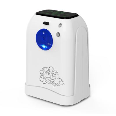 China ABS 2L Contact High Concentration Oxygen Machine Intelligent Oxygen Generator With Flow Control for sale