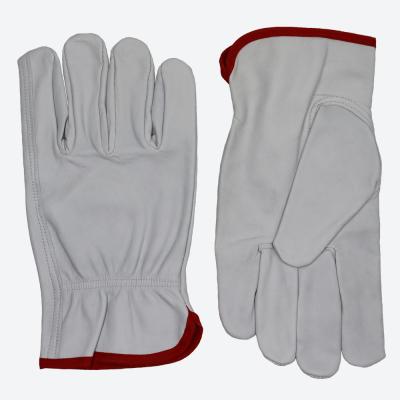 China Softest Pure Sheepskin Cheap Women Hand Protection Econmony Leather Work Gloves for sale