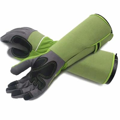 China Top Quality Puncture Resistance Thorn Proof Anti-Slip Working Garden Gloves for sale