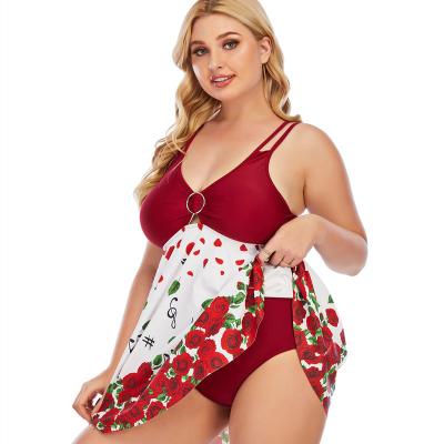 China Wholesale Plus Size Factory Price OEM ODM Ladies/Women's Halter Beach Tankini Two Piece Dress Set Plus Size Swimsuit Swimwear for sale