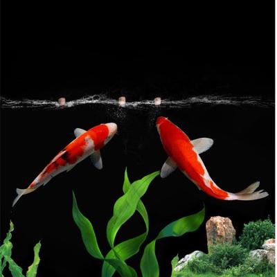 China Viable wholesale ornamental Koi king fish food aquarium goldfish pet food koi fish feed pellets ornamental fish food en venta