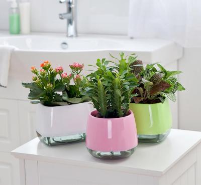 China Suction Cup Fashion Suction Cup Hanging Plastic Flower Pot for sale