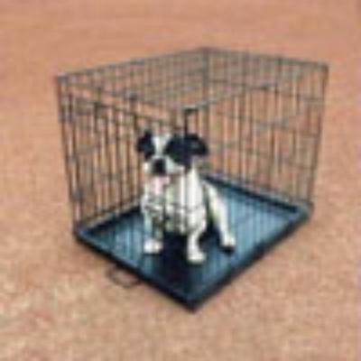 China New Iron Viable Outdoor Door Portable Pet Cage Dog Cat Dog Pet Kennel Carrier Crate for sale