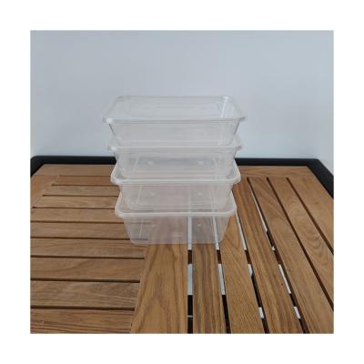 China Wholesale Disposable Biodegradable Compostable Plastic Disposable Food Container Box With Lid for sale