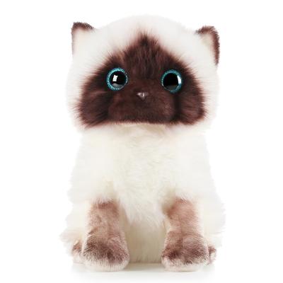 China Wholesale Super Cute Kids Toy Gift 20/26cm Factory Cat Plush Imitation Toys for sale