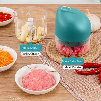 China Hotel Milk Maker Multi Chopper Baby Food Blender Mini Cordless Electric Food Processor for sale