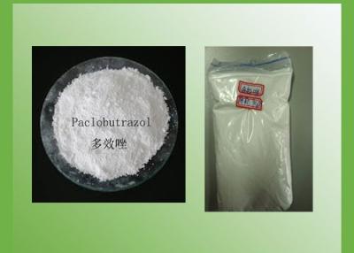 China Paclobutrazol 90%TC,25%SC for sale