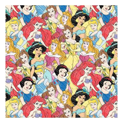 China Factory Outlet Famous Cartoon Princess Organic Cotton Poplin Fabric Custom Digital Printing For Garment for sale