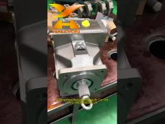 Hydraulic Piston Pump A4VSO250