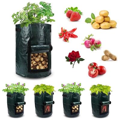 China Reusable; Waterproof Wholesale Waterproof Planter Grow Pots Vegetable Garden Plant PE Tomato Grow Bags Planter Bag for Plants for sale