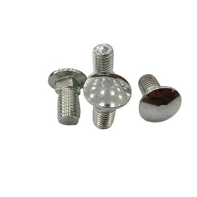 China 304 Stainless Steel Flat Head Carriage Bolt for Decking DIN 603 M5-M12 Standard DIN for sale