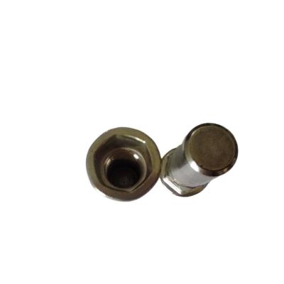 China Strength Flat Head Semi-Hex Closed End Rivet Nut for Durable and Sturdy Applications for sale