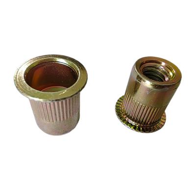 China Metric Round Head Flat Head Open Rivet Nut for Yellow Zinc Plated Carbon Steel Fixing for sale