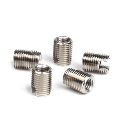 China Stainless Steel M4 Self Tapping Thread Insert Screw Fasteners with Coarse and Fine Thread for sale