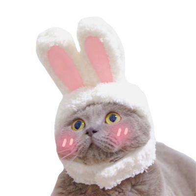 China Cat Headgear Cute Rabbit Disguise Cat Headdress Performance Props Funny Pet Hat Stocked Bunny Ears Hat for sale