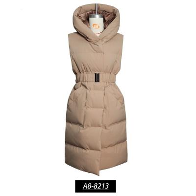 China 2022 New Arrivals Breathable Warm Fashion Women Winter Casual Hooded Sleeveless Lady Stripper Vest Long for sale