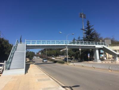 China De kruising van Stad die van de de Brugbouw van het Vredes de Voetviaduct Skywalk-Leuning bezienswaardigheden bezoeken Te koop