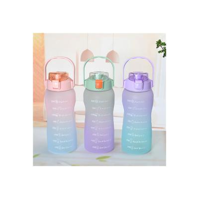 China Creative Viable High Quality Pet Sublimation Frosted Gradient Color Matte Plastic Gym Water Bottle Drinkware Mugs for sale