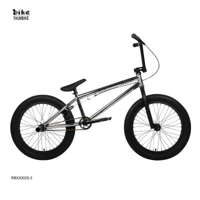 China Street 20 Inch Hi-Ten Bmx Bikes Steel Frame BMX Bicycle for sale