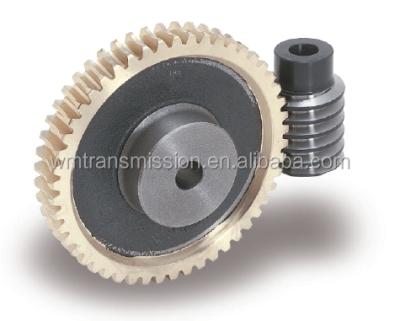 China Factory worm gear and worm shaft m2.5 worm wheel for sale