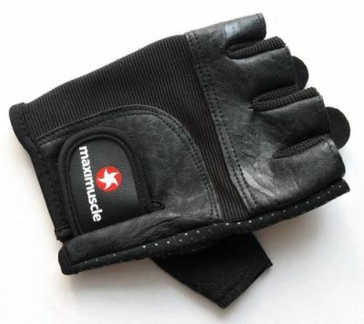 China Exercise Training Multifunctional Weightlifting Gym Gloves for sale