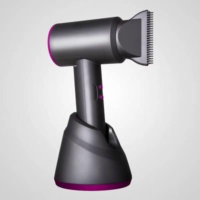 China MEN Dog Hair Dryer Ionic Professional Cordless Hair Dryer Travel Use Baby Use for sale