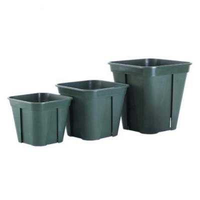 China Square Hot Selling Factory Directly Europe 18*18*15.4cm Gallon Plastic Nursery Pot for sale