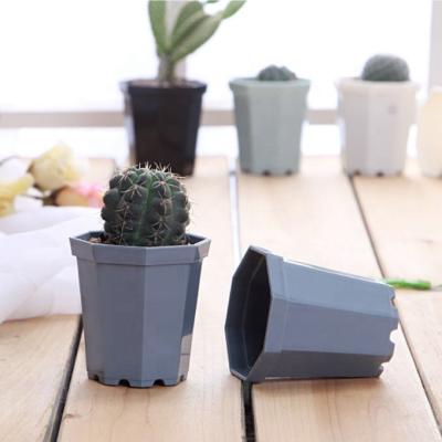 China Europe 10*9.5cm small flower pot small succulent pot plastic nursery pot for sale