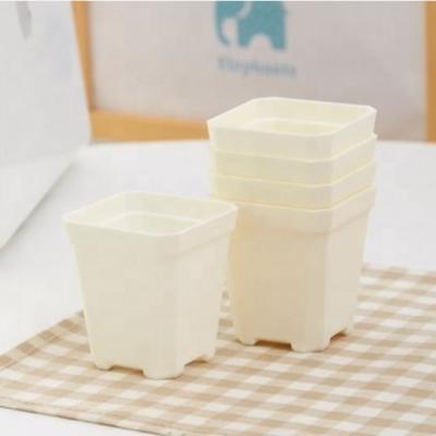 China Hot Selling Europe Small Plants Mini Succulent Pot Square Pot for sale