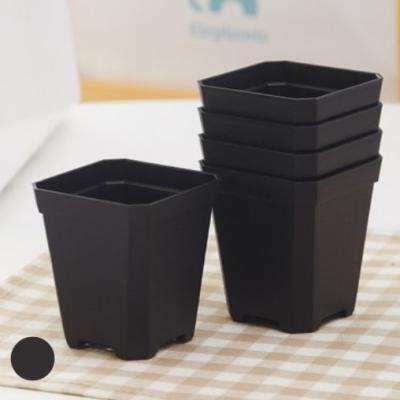 China Europe Black Square Small Pot Nursery Pot Factory Directly For Sale for sale