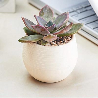 China High Quality Small Pot Europe Ball Shape Plastic Succulent Pots Cute Pot for sale