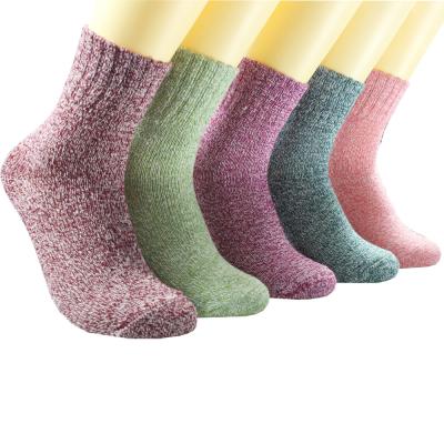 China Antibacterial Women's Cashmere Wool Cotton Animal Print Patterned Soft Fun Hot Sale OEM Design Crew Christmas Socks for sale