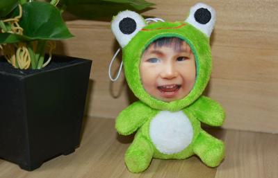 Chine Visage de photo de la grenouille DIY 3D de personnalisation, poupées bourrées de visage de la peluche 3D à vendre