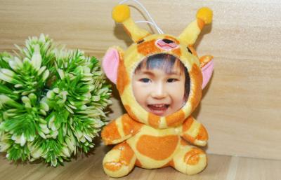 China Kaninchen-Foto-Maskenspielwaren Ziegengiraffe Plüsch-schöne 10CM, Puppe 3D von selbst Gesicht zu verkaufen