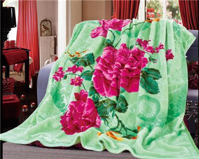 China Comfortable 3D Design 100% Polyester Printed Blankets Soft Touch High Quality for sale