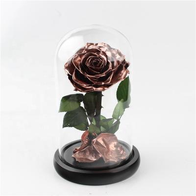 China Wedding decoration & Gift New Product Ideas 2019 Promo Gift Box Forever Rose Preserved Flower Wholesale In Glass Dome for sale