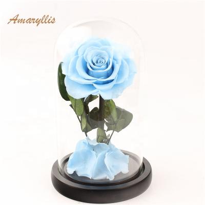 China Christmas Decration Wedding Anniversary Preserved Roses Mounted In Glass Dome Eternal Rose Globe for sale