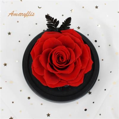 China Decration Gifts Preserved Roses in Glass Dome Box 7-8 cm with Moss Preserved Hydrangea Everlasting Preserved for sale