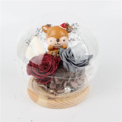 China Decration Wedding Anniversary Preserved Roses Mounted In Eternal Rose Globe Glass Dome for sale