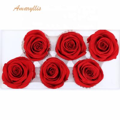 China Decoration Gifts DIY Wholesale Preserved Roses A Grade Multi Color 5-6 Cm for sale