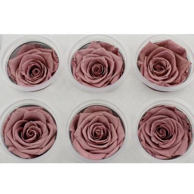 China Gifts DIY Decoration 5-6 Cm A Grade Flowers Multi Color Preserved Real Roses Heads Eternal Roses Flower for sale