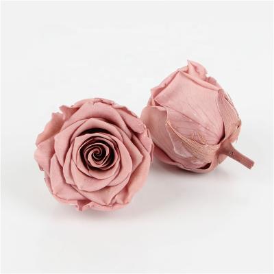 China Wholesale High Quality Gifts DIY Decoration 5-6 CM A Grade Flowers Multi Colors Soft Preserved Roses Real Forever for sale