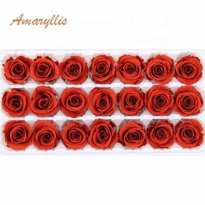 China Celebration Gifts Wholesale Eternal Roses Preserved To Bloom Preserved Roses In Gift Box 2-3 CM Lasting Gifts Roses Forever for sale