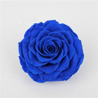 China Real Fresh Cut Roses Wholesale High Quality 9-10 Cm Grade One Touch Real Preserved Forever Eternal Roses Direct Eternal for sale