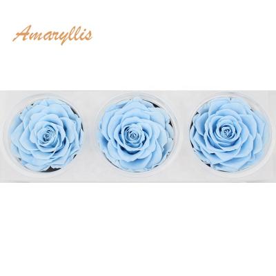 China A Decoration Grade High Quality Wholesale Roses DIY Gifts Real 7-8 Cm Roses Preserved Long Lasting Preserved Roses for sale