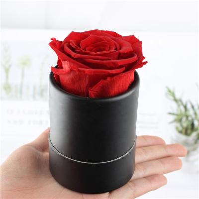 China China Wholesale Dry Long Lasting Flower Flores Eternal Preserved Roses In Gift Box Gifts Forever for sale